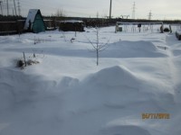 Зима в саду Dt-ALJN