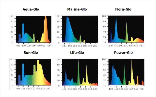 спектр для аквариумных. спектр для аквариумных. лампа фулл спектр для аквариума. спектр светодиодных ламп для аквариума. световой спектр для аквариумных растений.