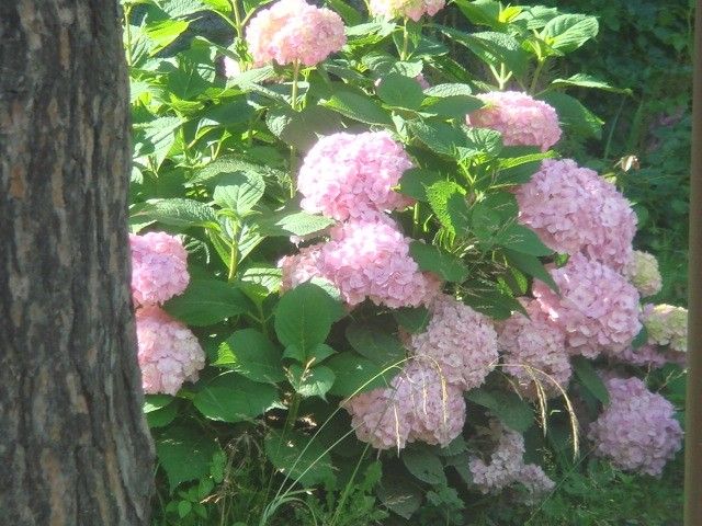 DSC09363