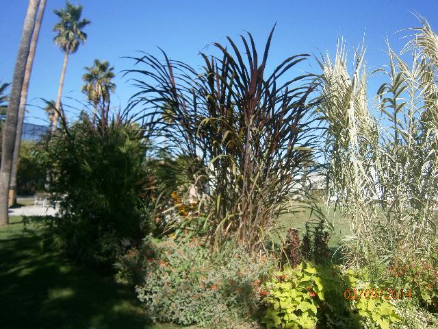 P9020680