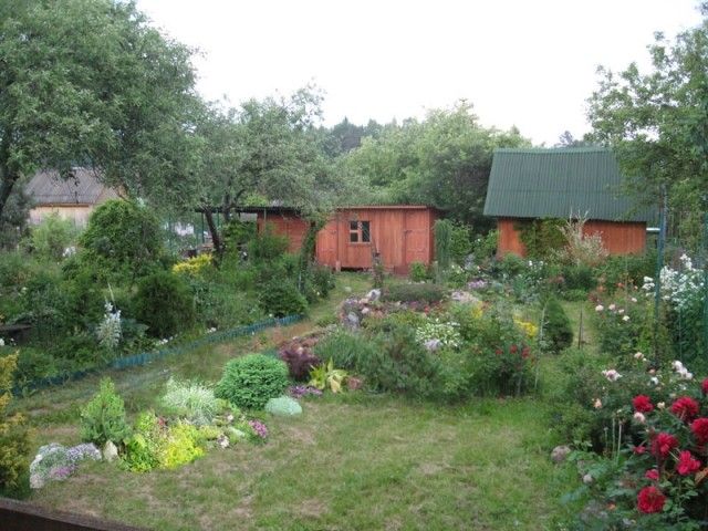 вид на баню копия