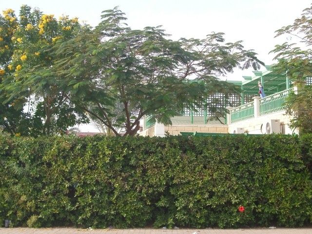IMGP0820