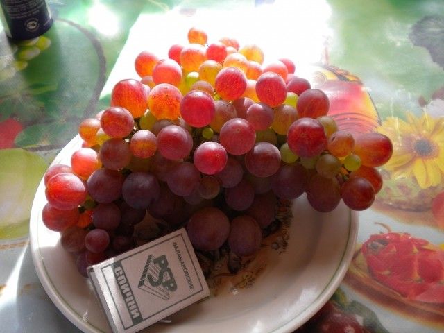 DSCN0419