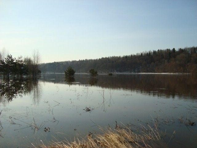 DSC06356