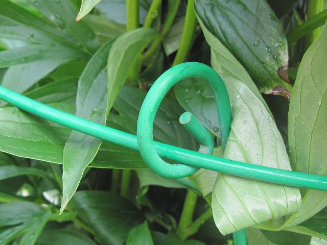 Изображение 235