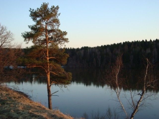 DSC06392