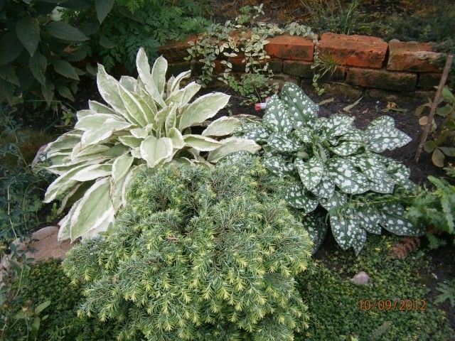 P9101075
