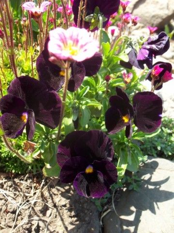 Изображение 025