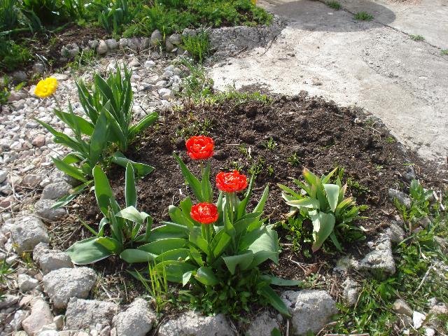 DSC00031