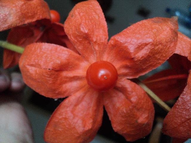 DSC00060