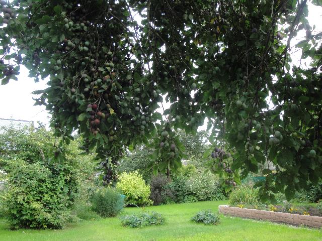 DSC01778