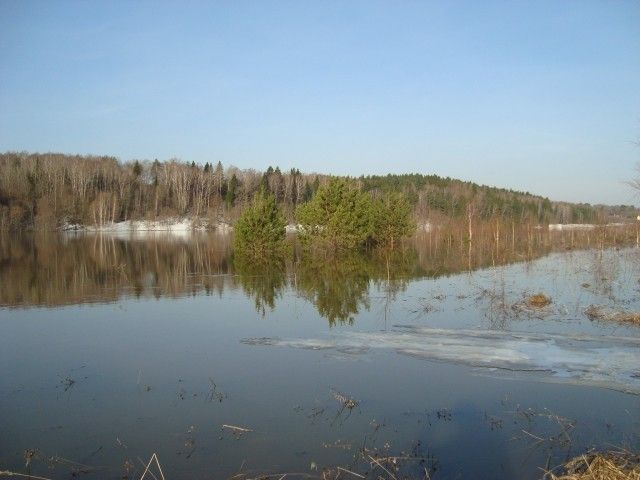 DSC06355