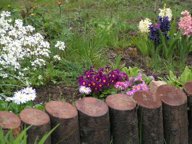 под антоновкой 12