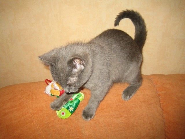 IMG 4767