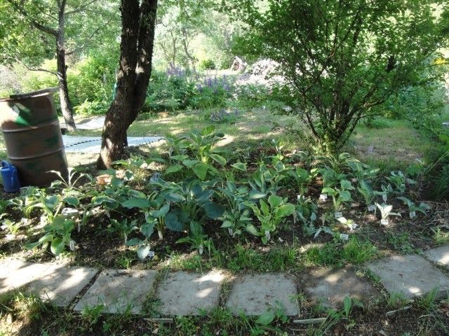 DSC07821