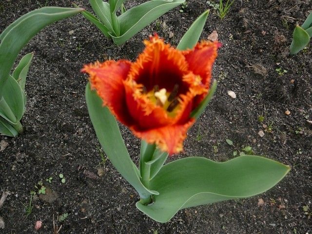 P1050051