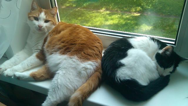 IMG 12 06 2016 144732