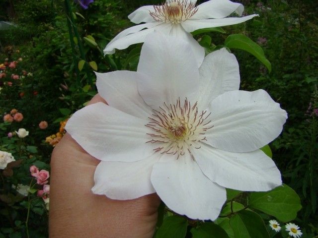DSC02292