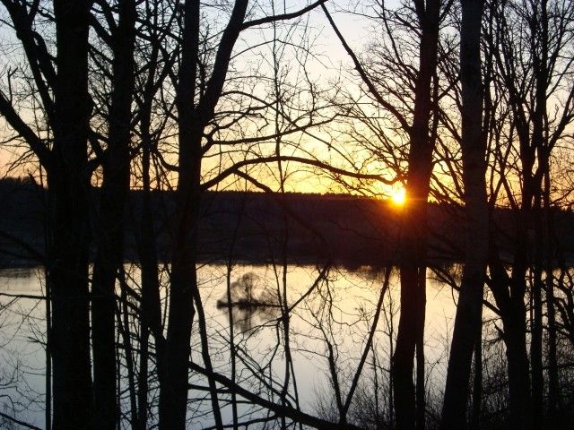 DSC06401
