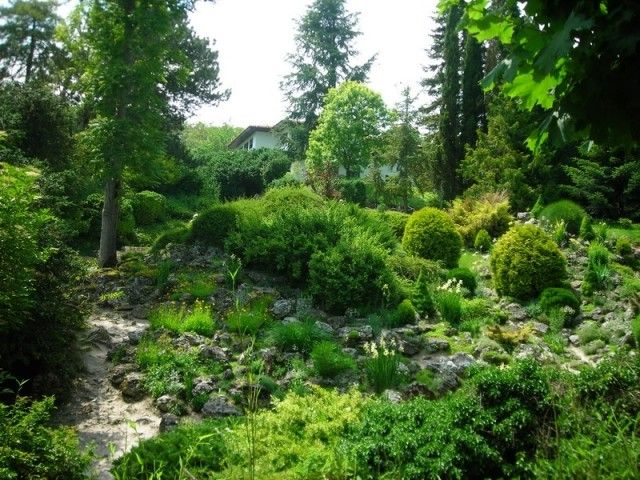 DSCN7999 изменение размера