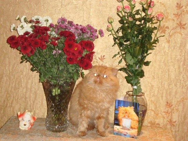 DSC03623
