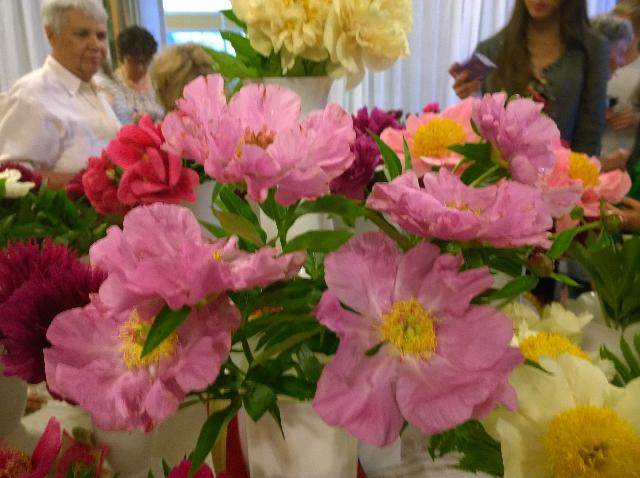 новость алтая  2