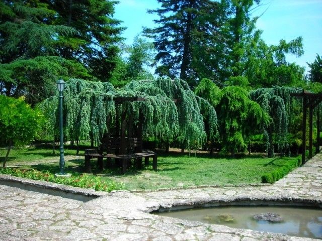 DSCN7993 изменение размера