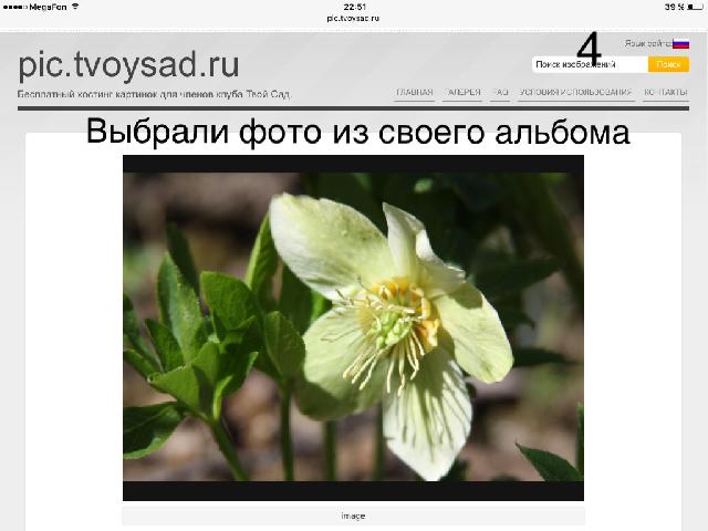 IMG 6421 24 05 17 11 07