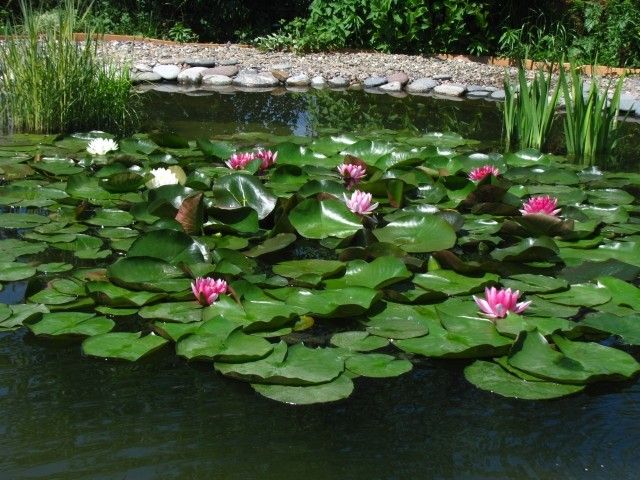 050