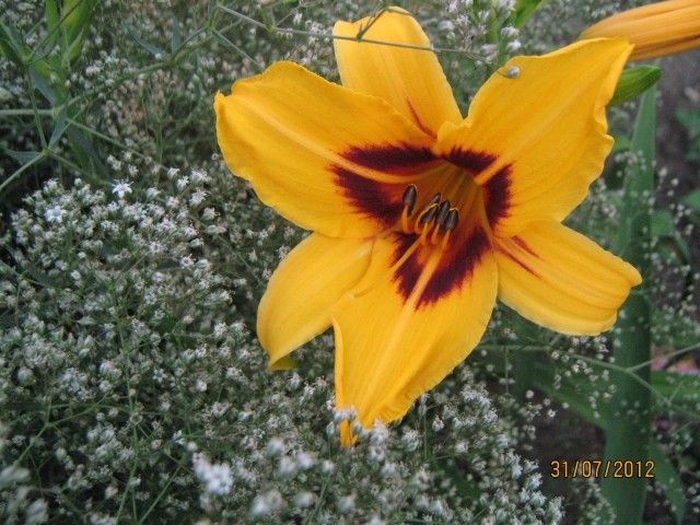 IMG 3861