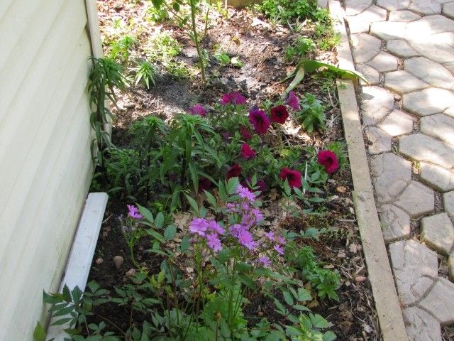 угол кухни 4