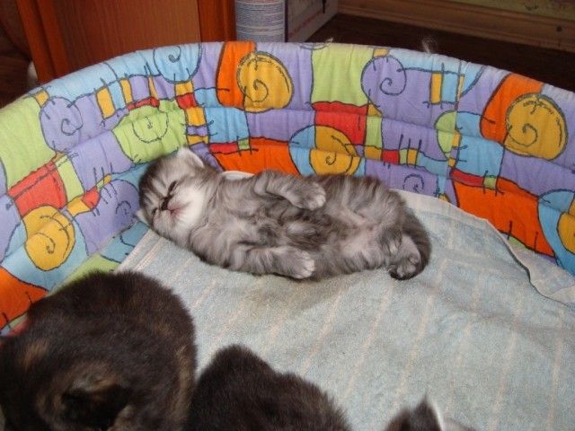 DSC04150