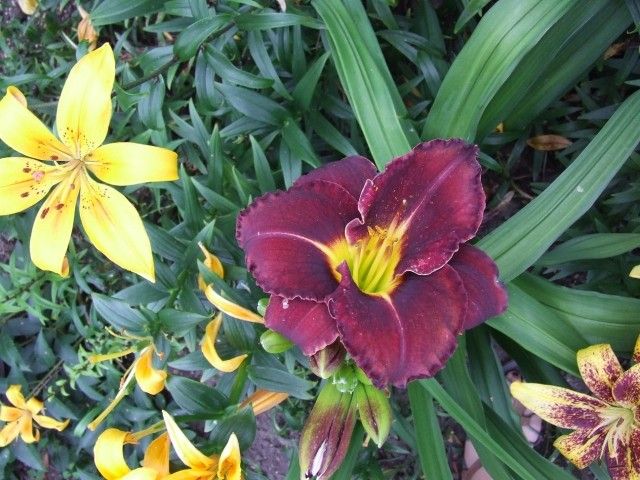 DSCF5440