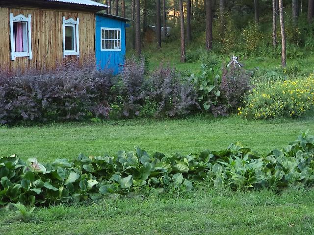 DSC00650