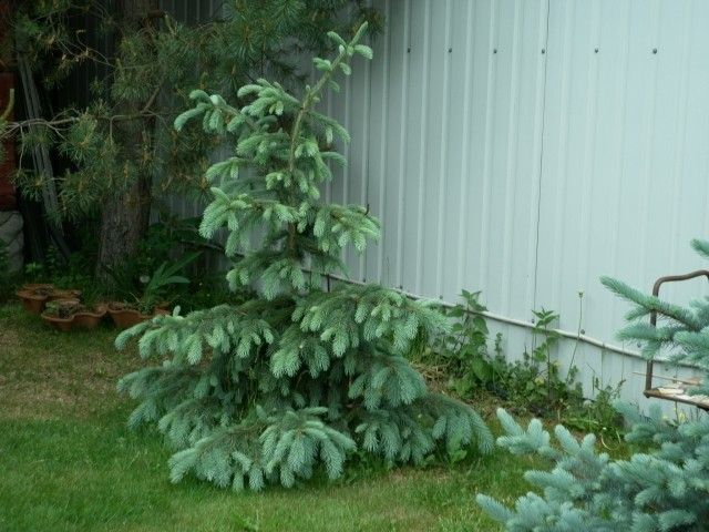 P1000221