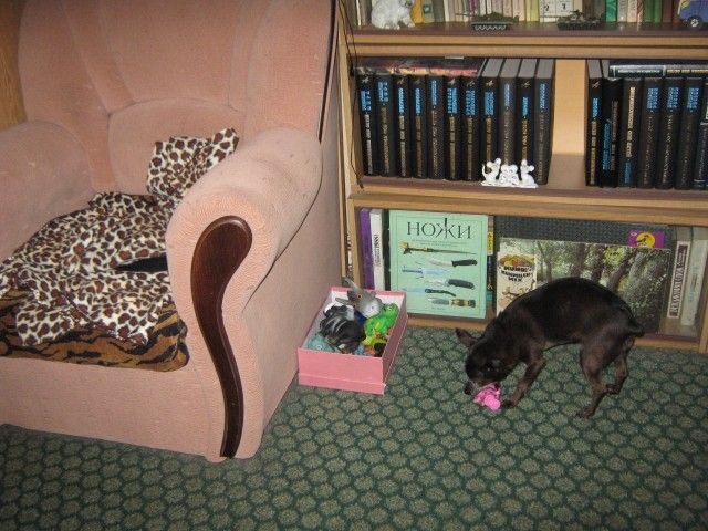 IMG 6162