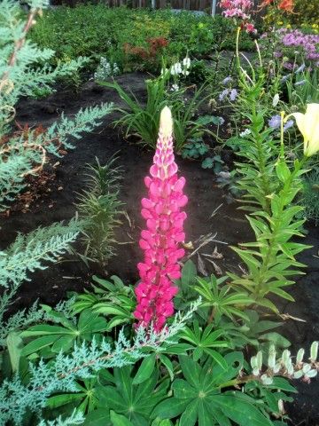 Изображение 030 копия