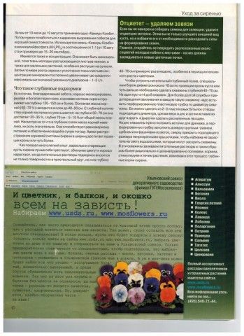 Рисунок  4