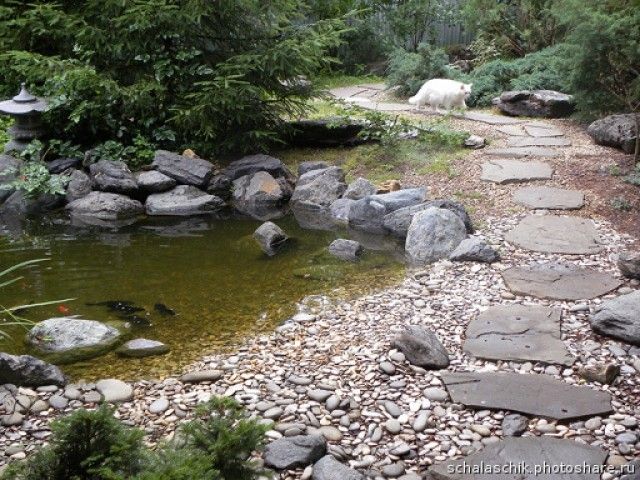 Наташа  пруд