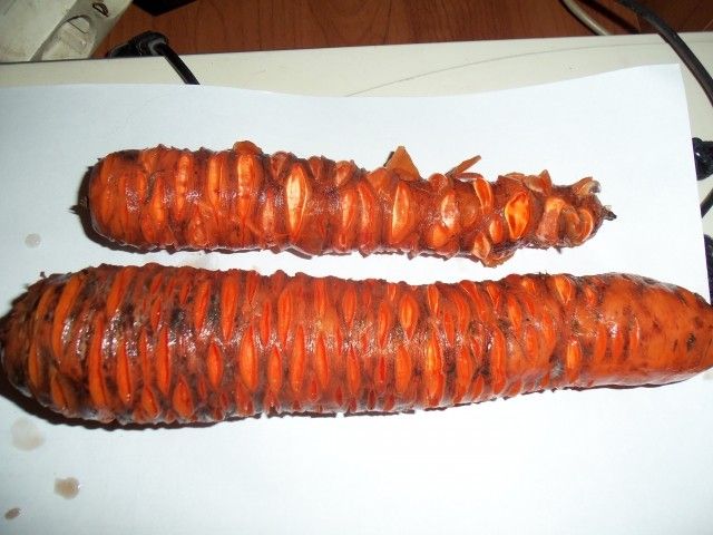 Изображение 004