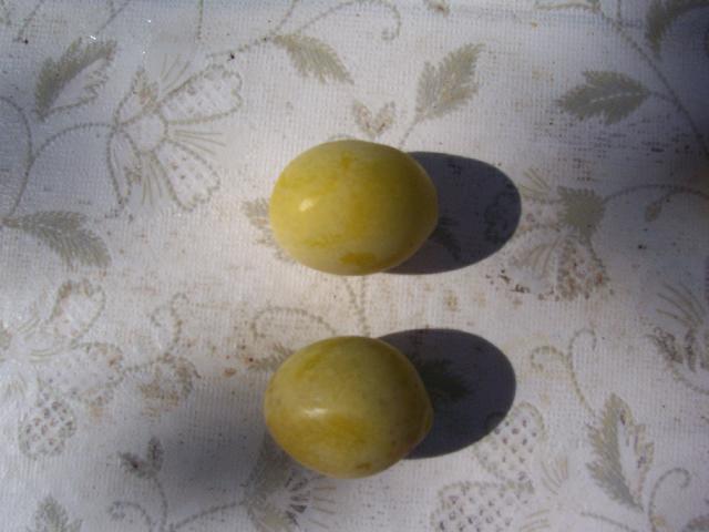 Слива 4