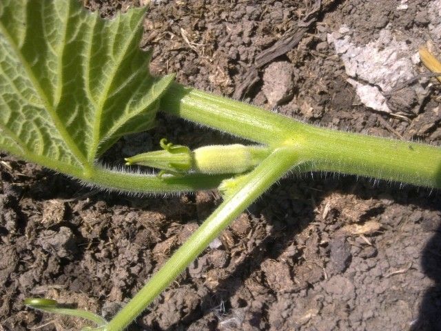 2013 07 31  10