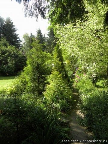 Наташа  дорожка справа от дома