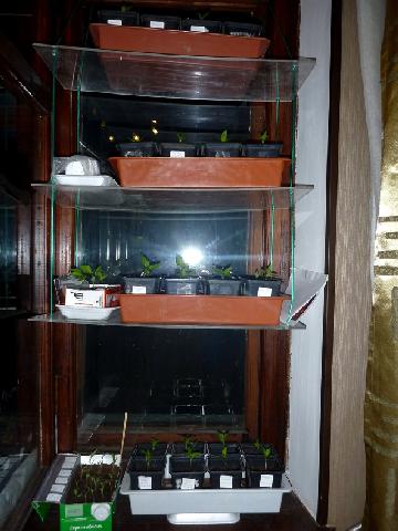 P1130146
