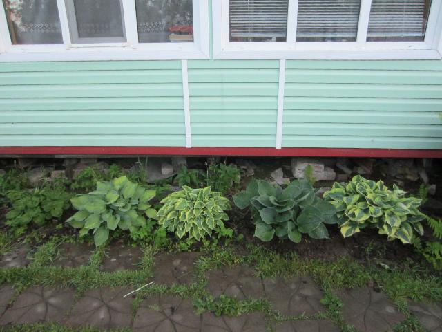 IMG 6720
