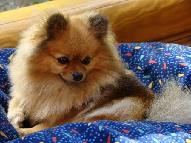 2013 06 21 001 108