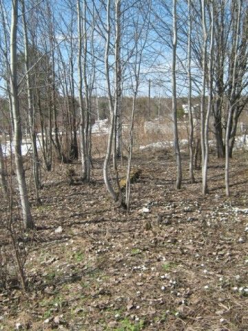Уголок  quot дикой природы quot