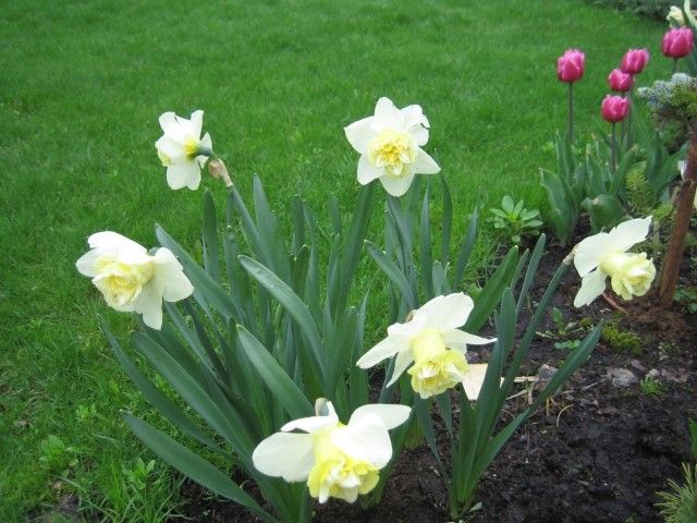 2012 046  2