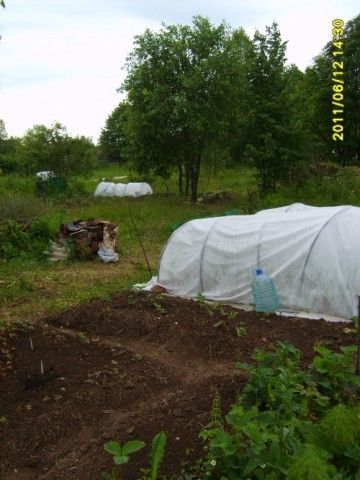 Парник из труб ПВХ  диаметром 20