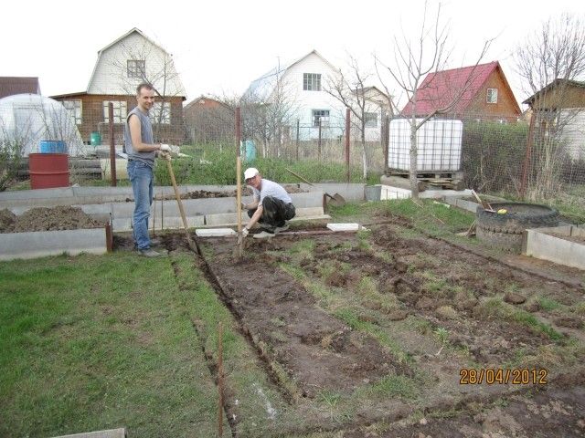 IMG 0631